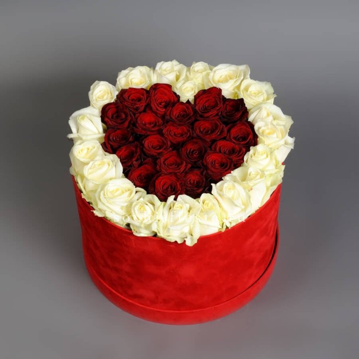 39 красных и белых роз в цилиндре в Саратове