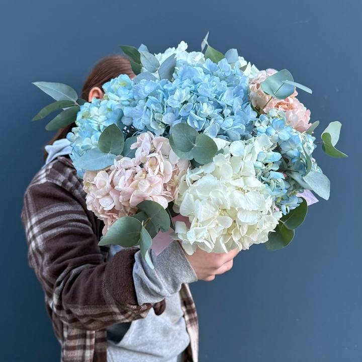 Гортензии в коробочке в Саратове