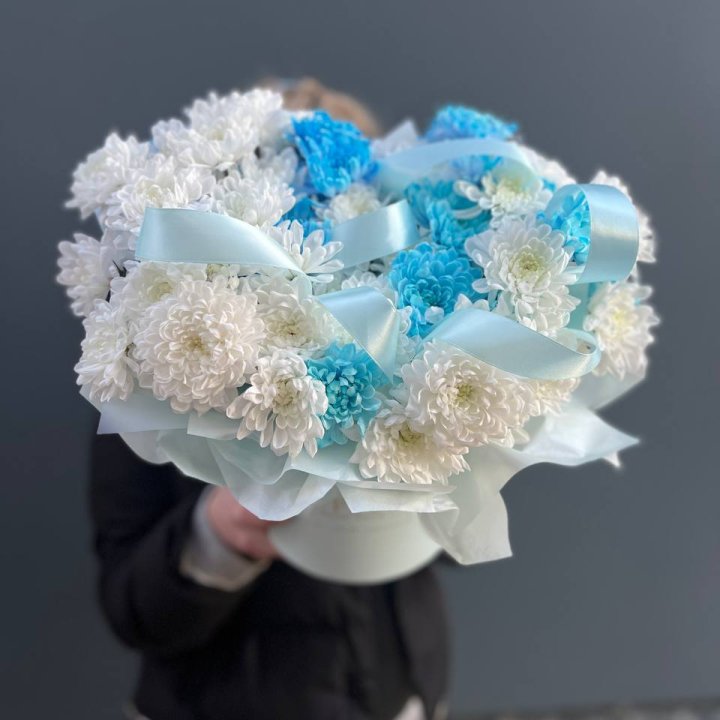 Хризнтемы в боксе в Саратове