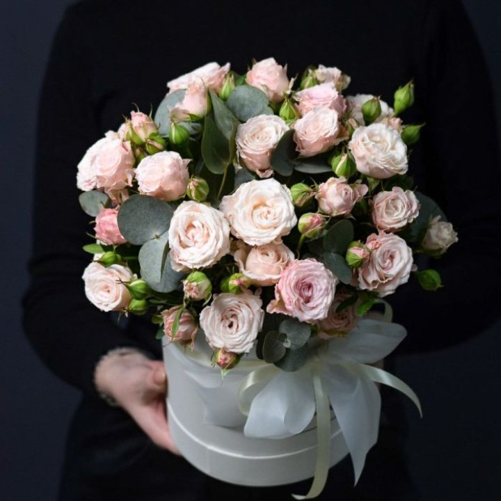 Бомбастик бокс №2 в Саратове