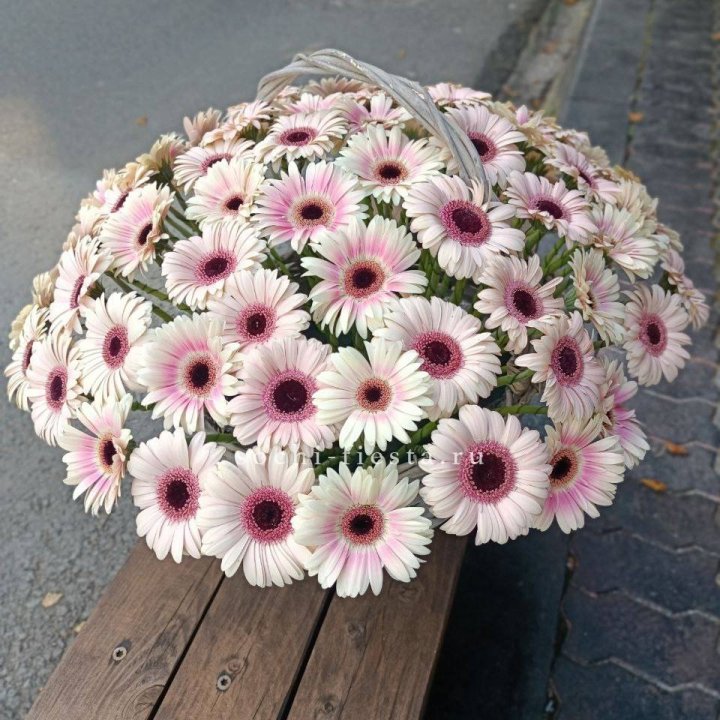 Корзина с герберами  в Саратове