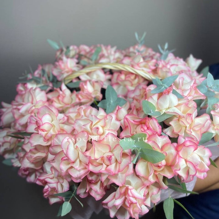 51 джумилия  в корзине   в Саратове