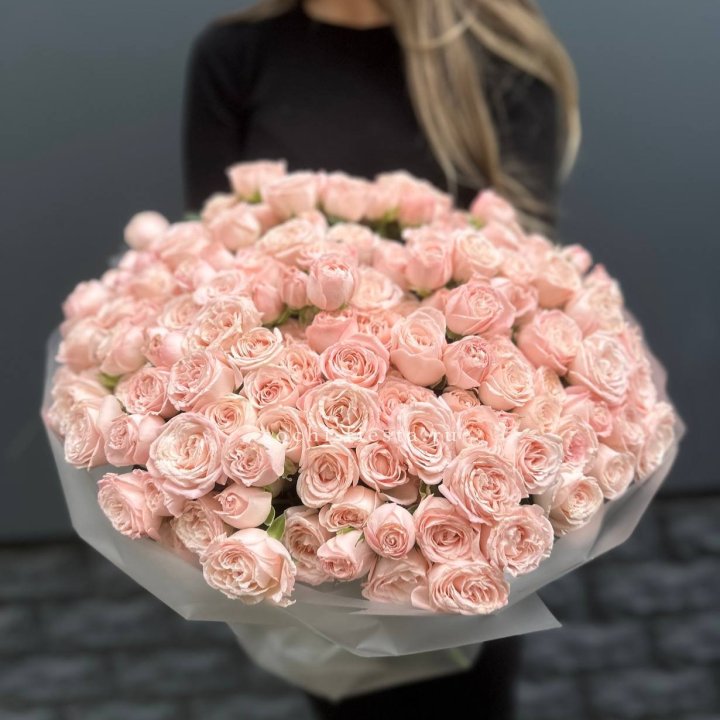 51 кустовая роза Бомбастик в Саратове