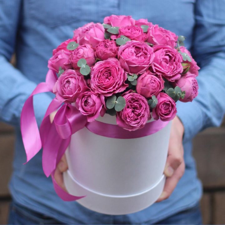 Бокс мисти баблс в Саратове