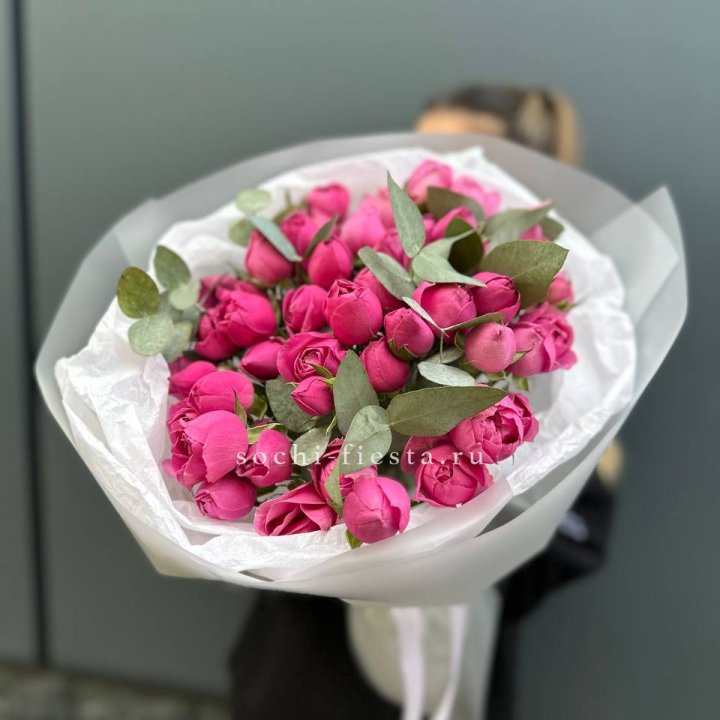 17 Мисти бабблс в Саратове