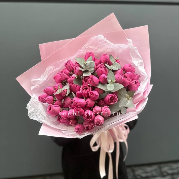 25 Мисти бабблс в Саратове