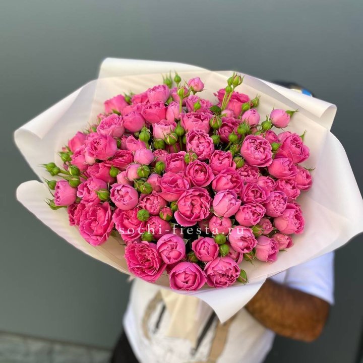 Мисти Баблс 35шт в Саратове