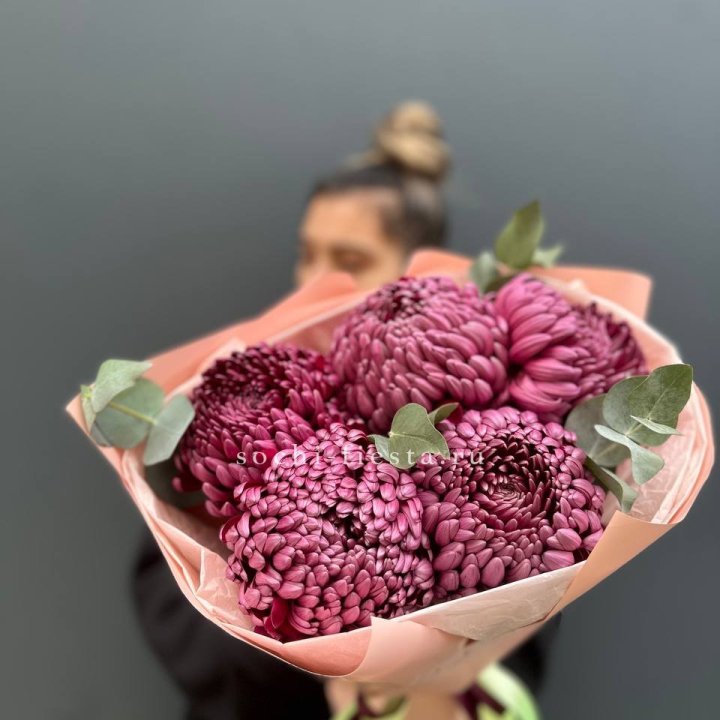 Хризантемы  Бигуди  в Саратове