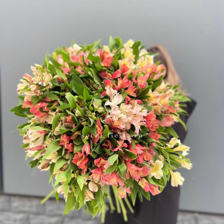 51 альстромерия в Саратове