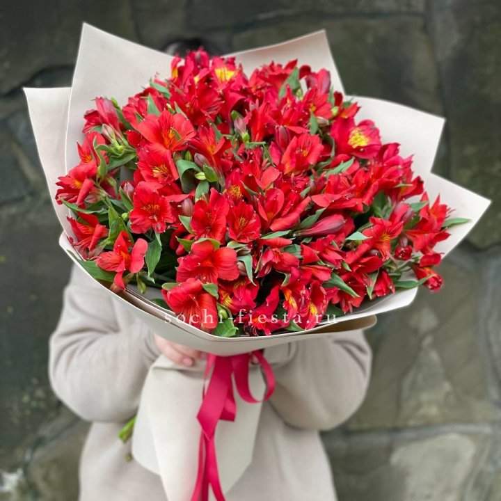 51 альстромерия в Саратове