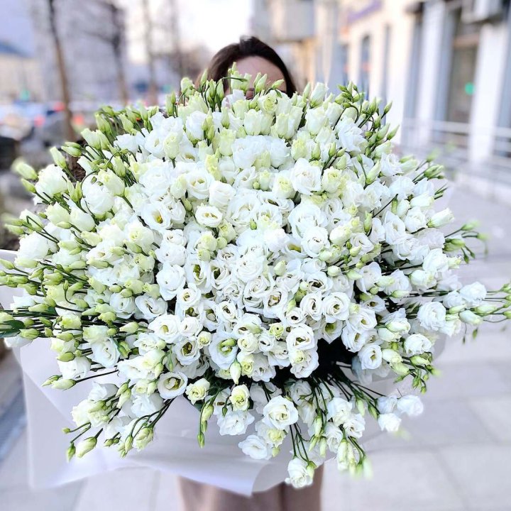 101 белая эустома в Саратове