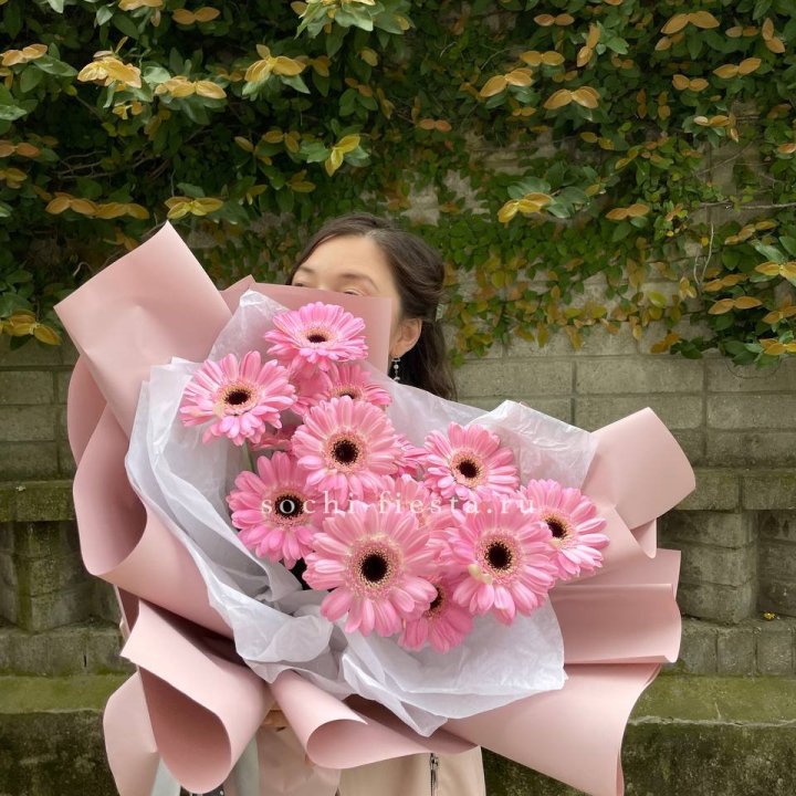 13 розовых гербер в Саратове