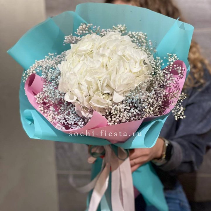 Гортензия "Райдов" в Саратове