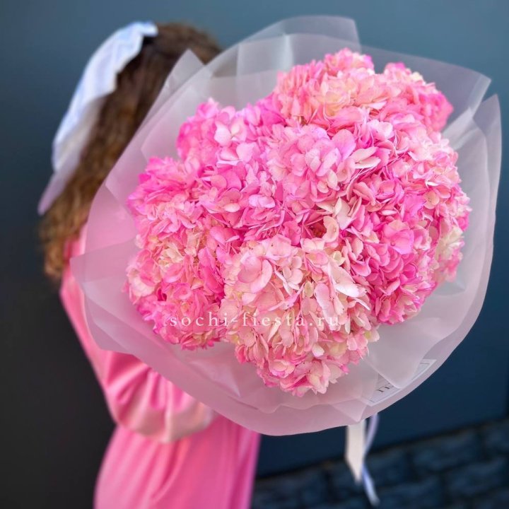 7 ярко розовых гортензий в Саратове