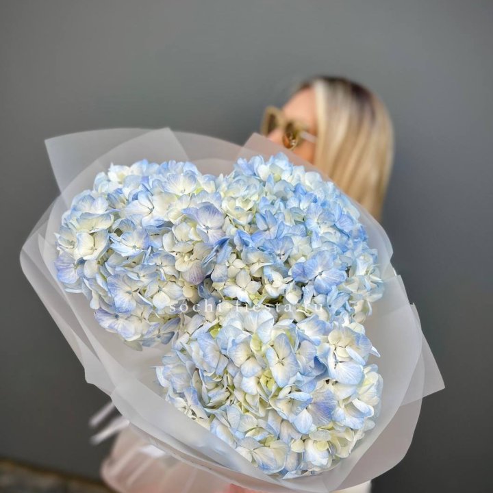 Букет из 3 голубых гортензий  в Саратове