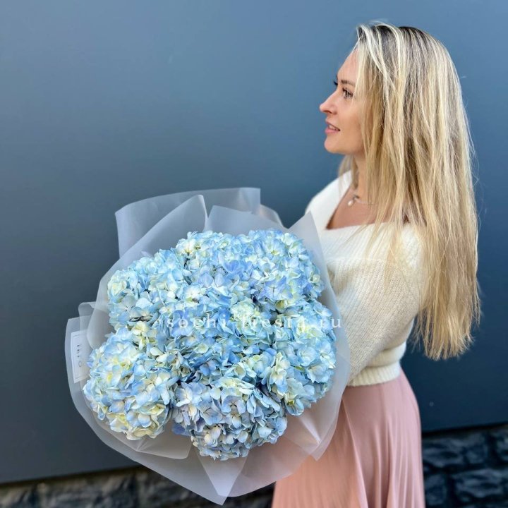 7 голубых гортензий в Саратове