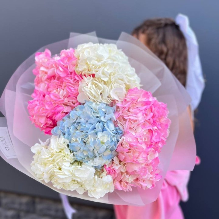 7 гортензий микс в Саратове