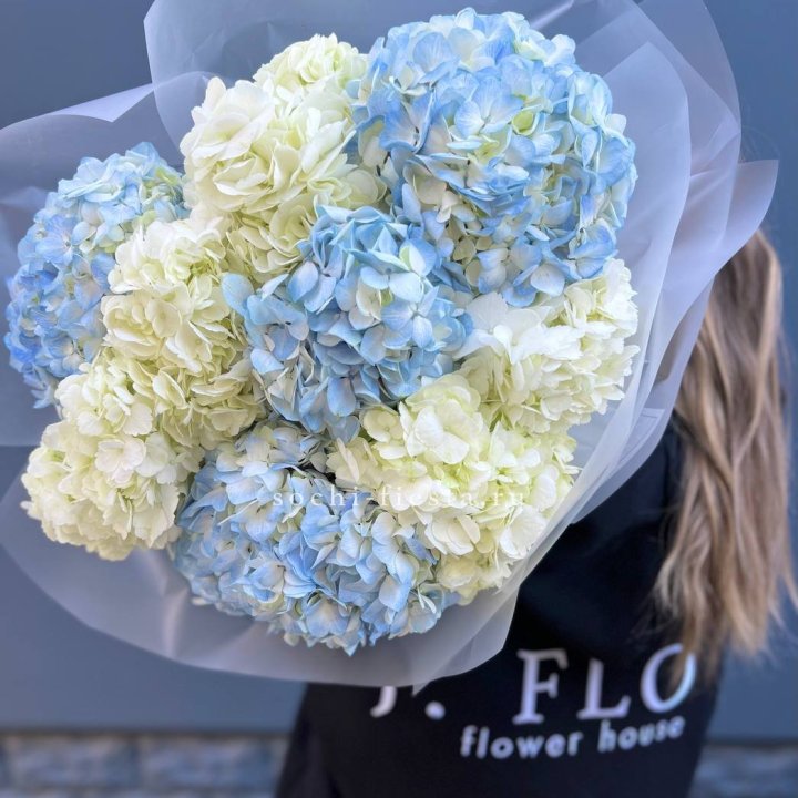 9 бело-голубых гортензий в Саратове
