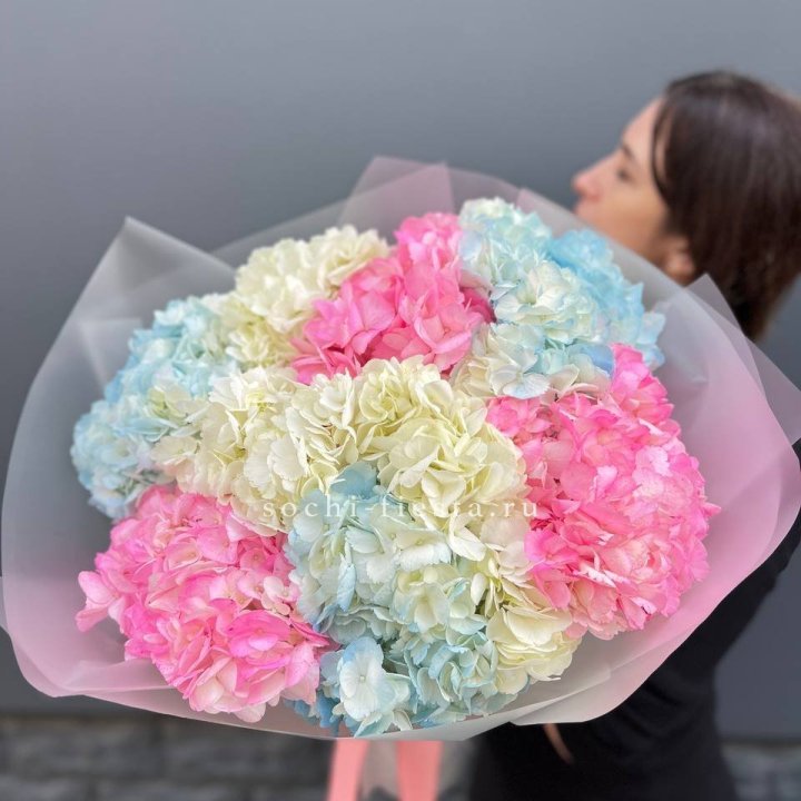 9 гортензий микс в Саратове