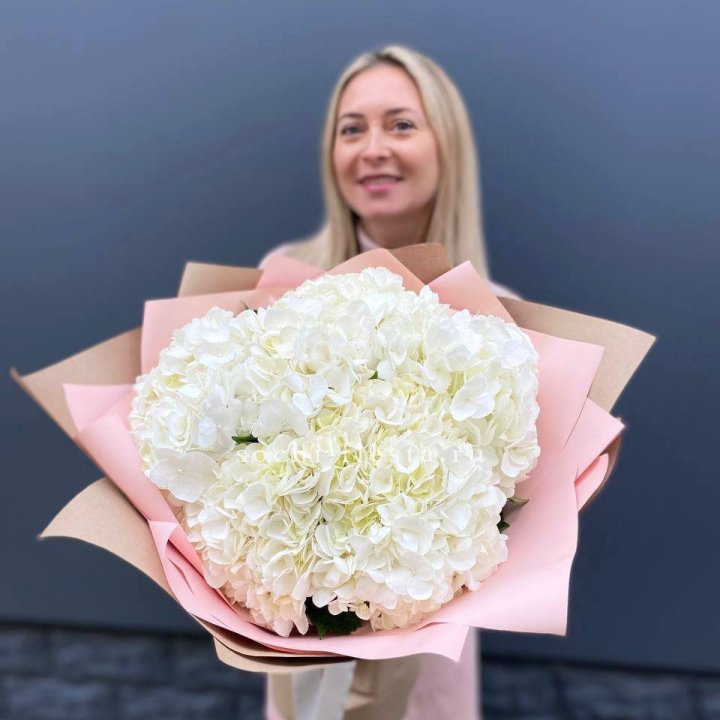 Гортензия белая в Саратове