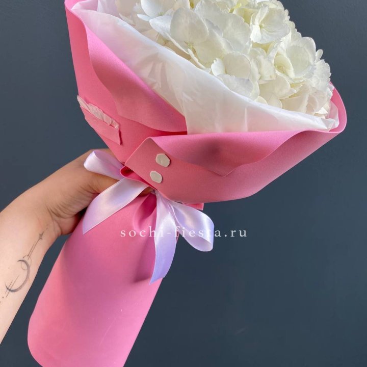 Гортензия в розовом пиджаке в Саратове