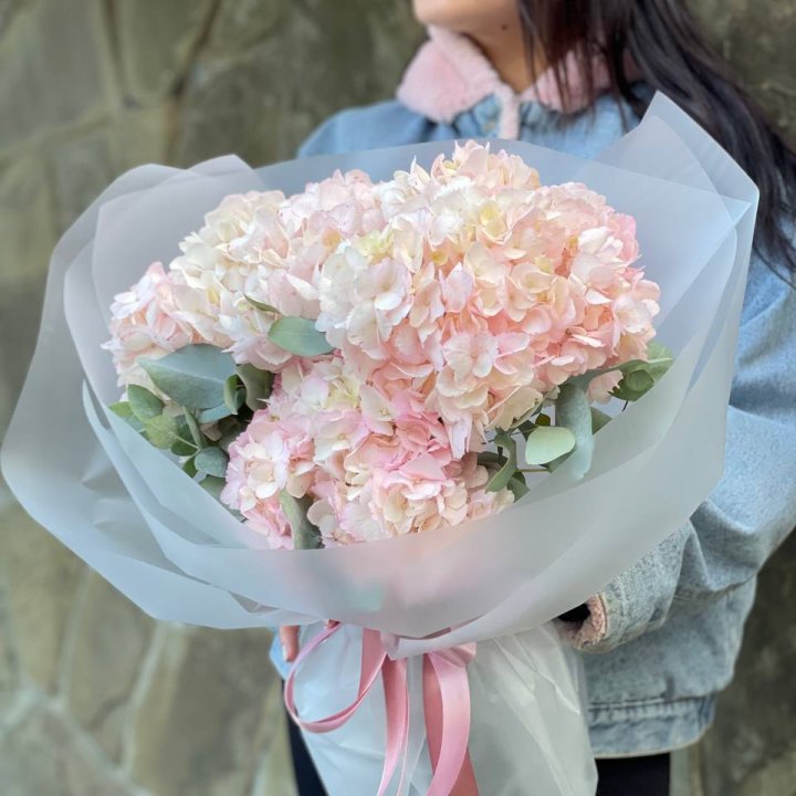 5 розовых гортензий в Саратове