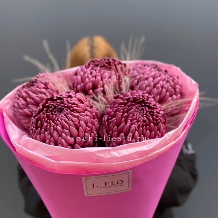 Хризантемы  Бигуди с стифой в Саратове