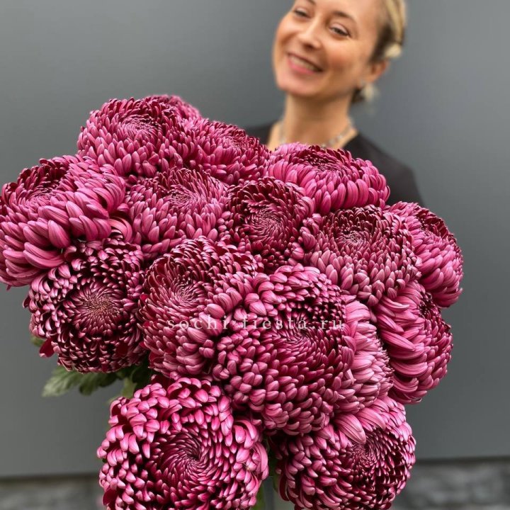 Охапка хризантем Бигуди в Саратове