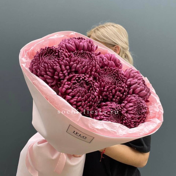 9 хризантем бигуди в Саратове