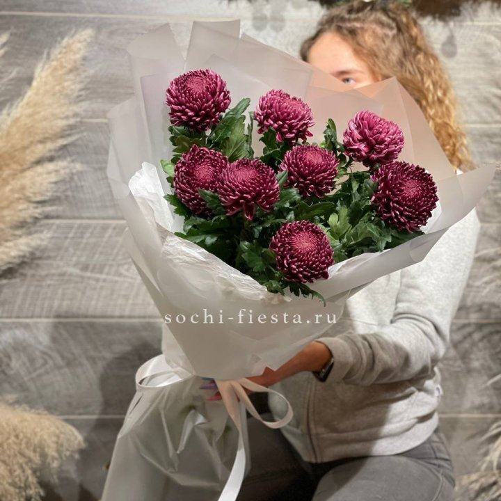 Хризантемы Бигуди в Саратове