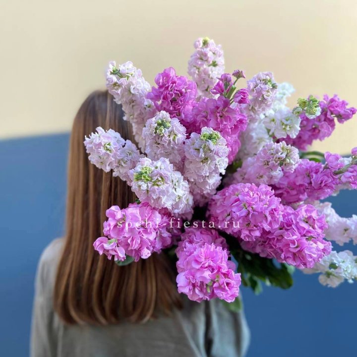 Охапка маттиолы в Саратове