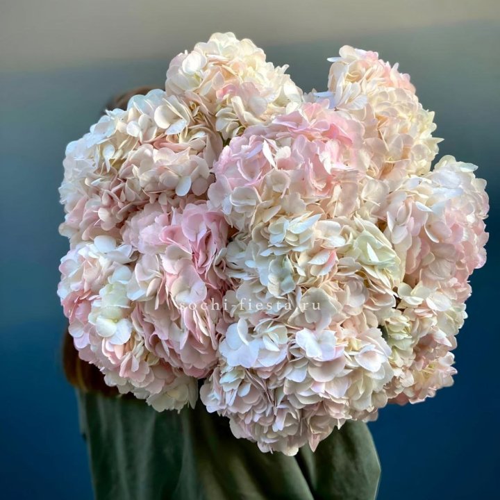 Охапка розовой гортензии в Саратове