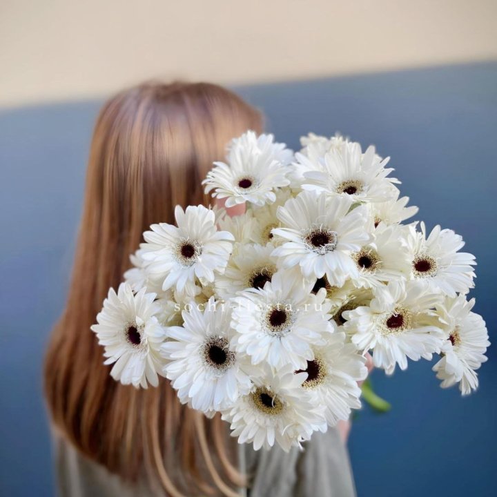 Охапка гербер в Саратове