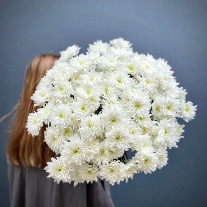 Охапка Хризантемы кустовой в Саратове