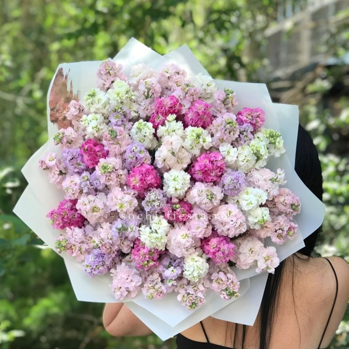 Букет ароматной маттиоллы №3 в Саратове