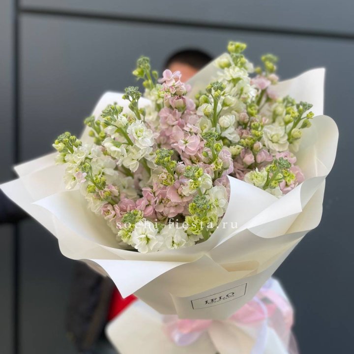 29 маттиол  в Саратове