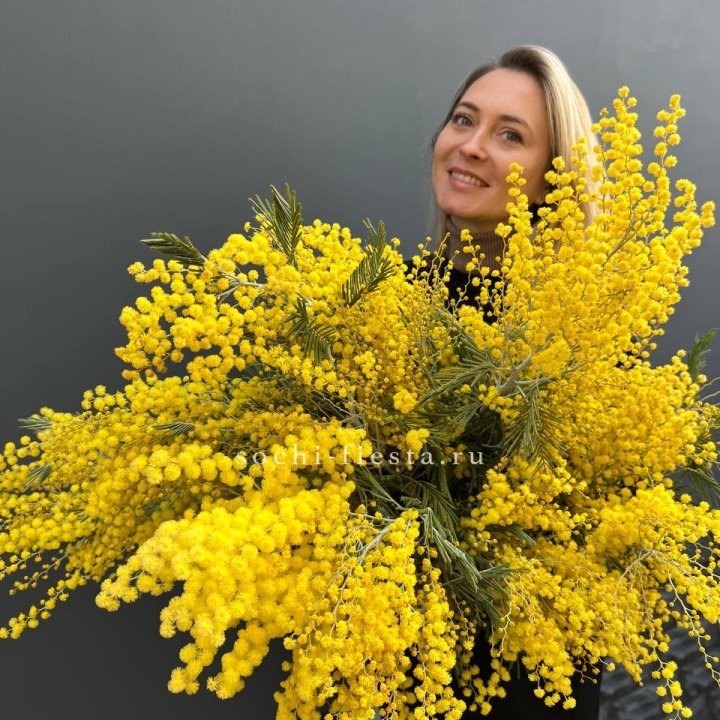 Охапка мимозы №2 в Саратове
