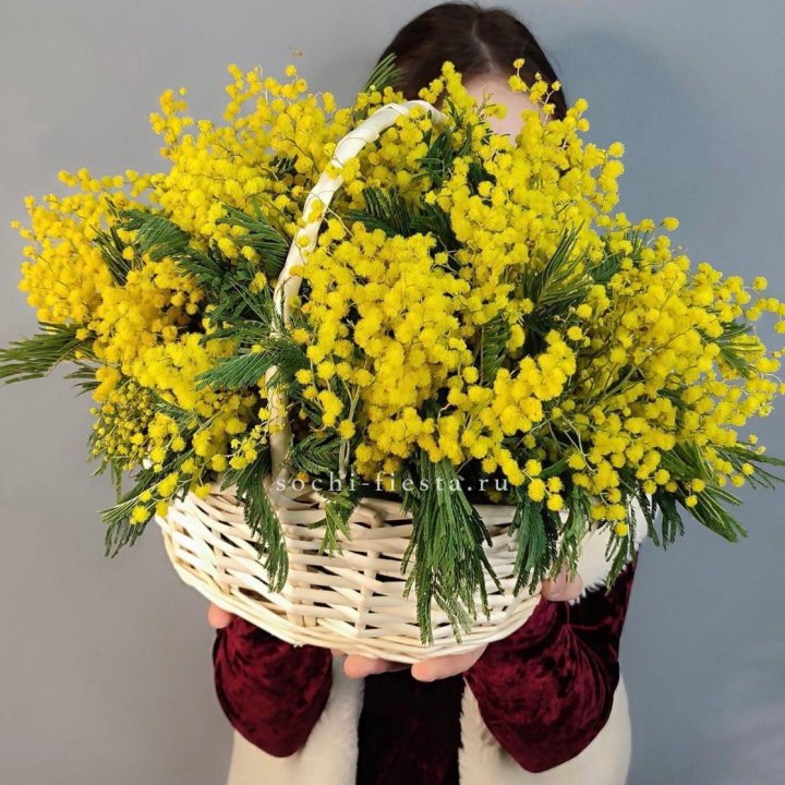 Корзина ароматной мимозы в Саратове