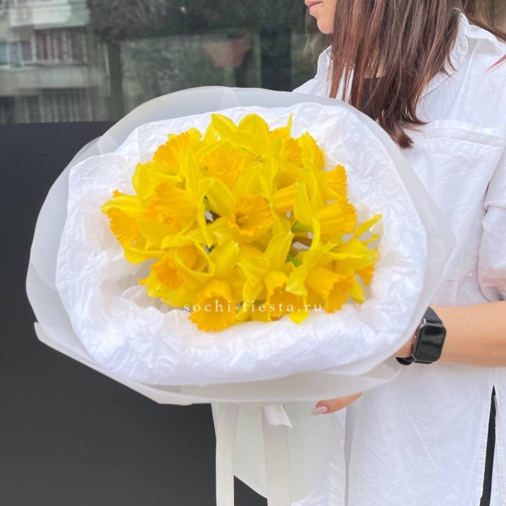 Нарциссы 25 шт в Саратове