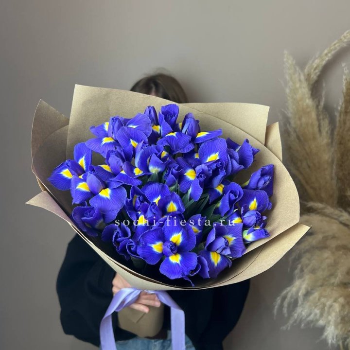 Ирисы в Саратове