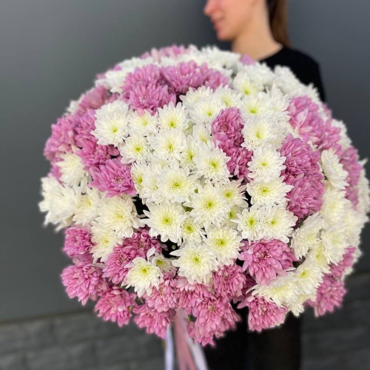  Букет 25 хризантем микс в Саратове