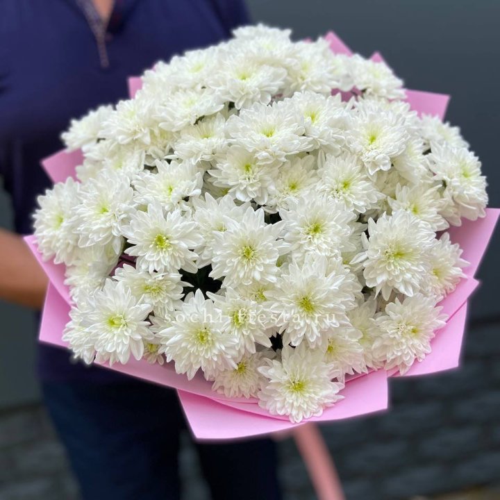  Букет 15 хризантем  в Саратове