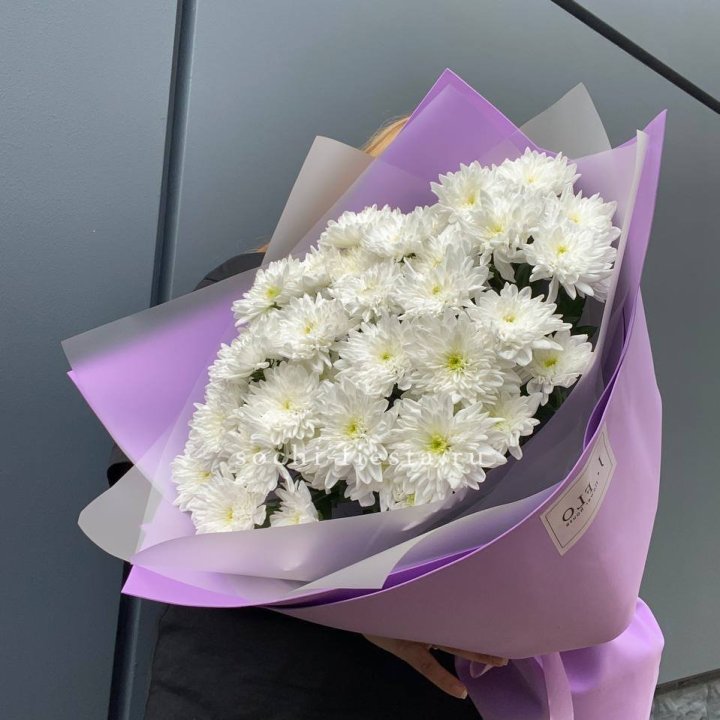  7 хризантем  в Саратове