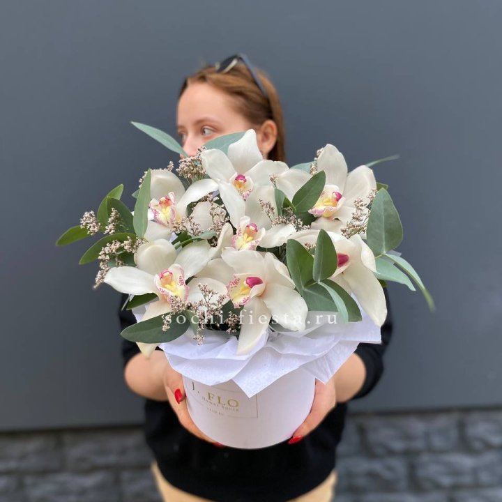 7 орхидей в боксе в Саратове