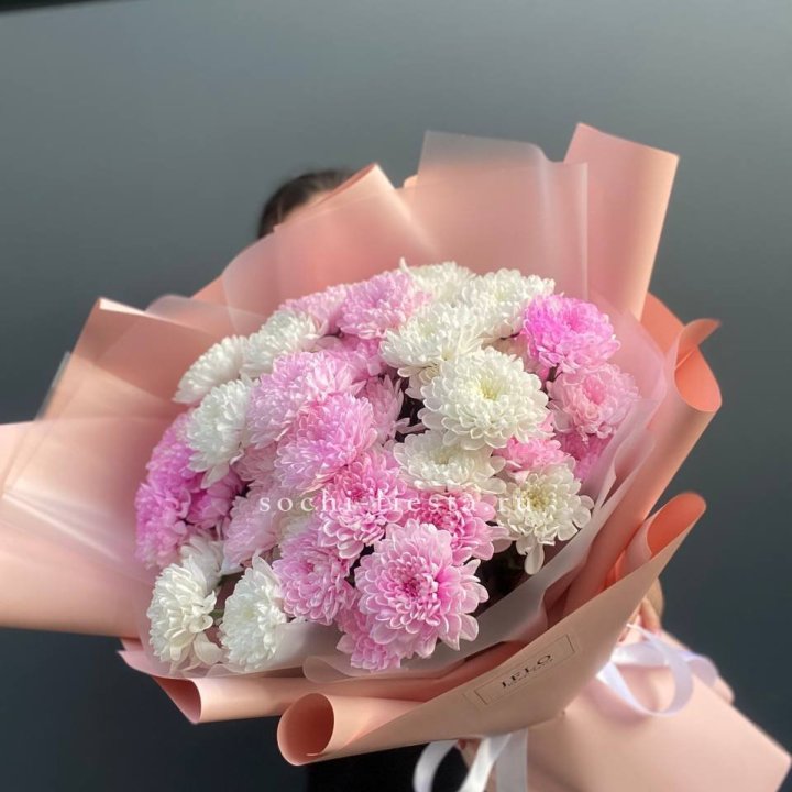  Букет бело-розовых хризантем  в Саратове