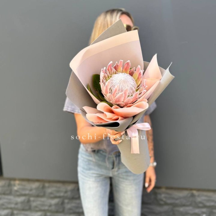 Протея мини  в Саратове