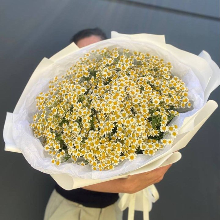 Букет ромашек №2 в Саратове