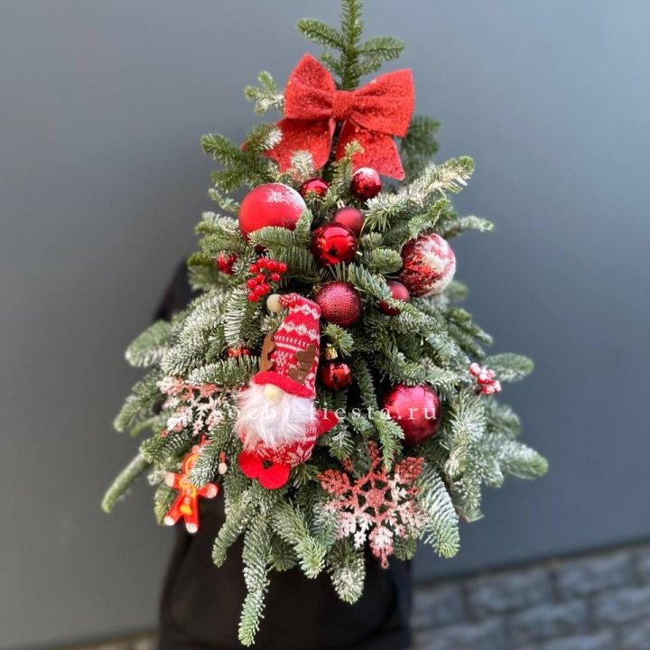 Новогодняя елочка "Ред" в Саратове