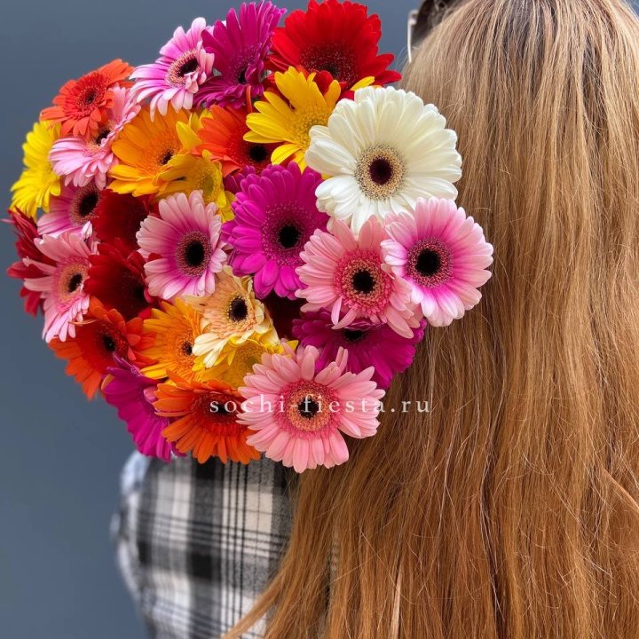 Охапка гербер  в Саратове