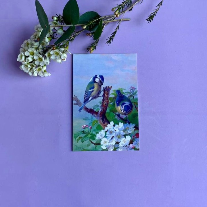 Открытка к букету "Птицы" в Саратове